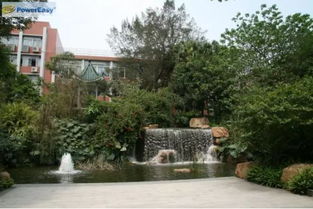 协和医学院校园景色