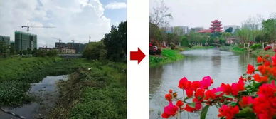 大江治理前后的对比情况