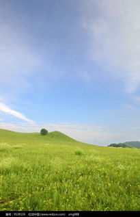 草原美景图