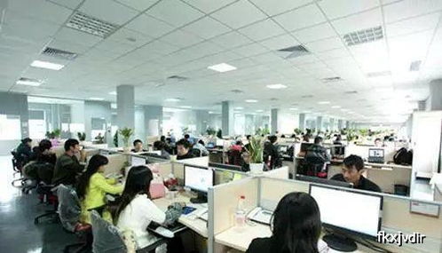 影石创新员工工作场景