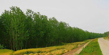 共谱绿水青山曲，20年‘两山’理念成果斐然