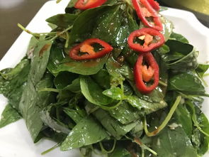 河南特色美食测评：舌尖上的中原风味！