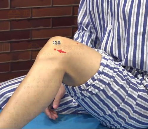 常用解暑穴位图