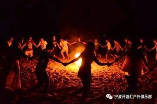 篝火旁欢笑跳舞的人群