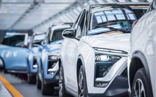 蔚小理汽车标志