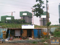 活动现场周边景象