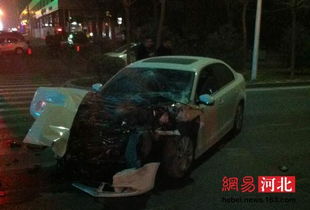 9万买的汗血宝马竟在追尾事故中离世，背后故事太揪心！