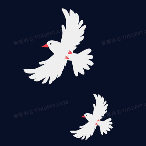 和平鸽飞翔画面