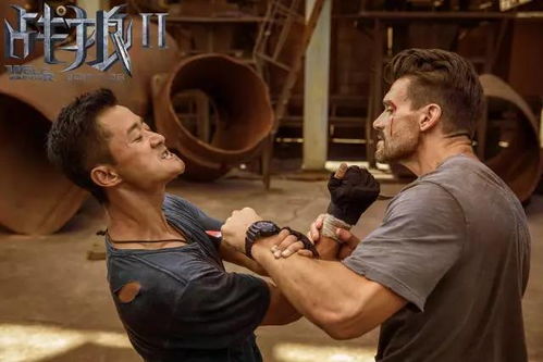 《捕风追影》：暑期档黑马之作，老带新阵容燃爆荧幕！