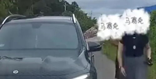 亮证女司机事件：丈夫因违纪被处分，真相令人咋舌！