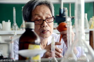 农大教授实验证明：西瓜没打甜蜜素，传言都是瞎扯！