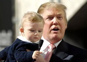 特朗普严肃照片