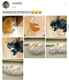 8月15日吧友趣事大赏！