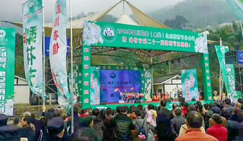 京东健康携手微博共护花路，创意节亮点纷呈