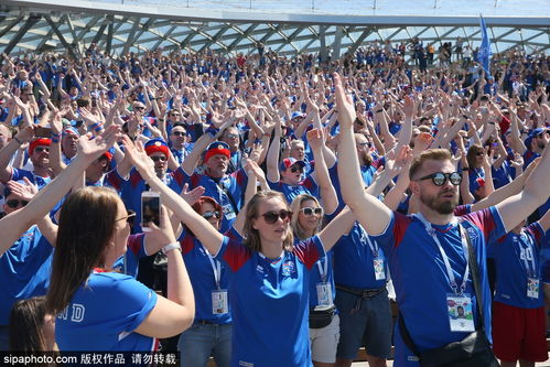 球迷们在看台上欢呼雀跃