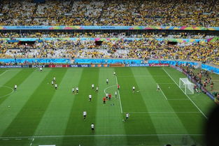 男篮亚洲杯半决赛：中国对决新西兰，赵睿伤退却半场领先2分