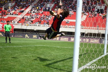 球场观众席热闹场景