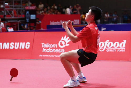 王楚钦将赴北大深造，网友热议背后的故事