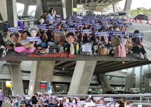 献鱼微博云包场背后的那些事儿