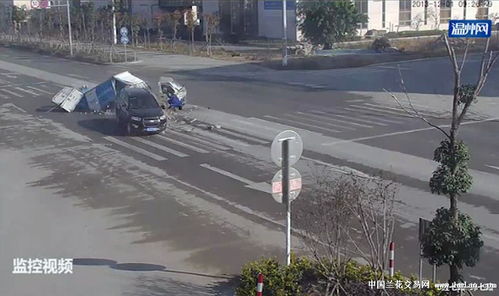 9万买来的汗血宝马在高速事故中丧生，主人心痛不已