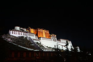 布达拉宫周边街道