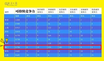 项目竞争力雷达图