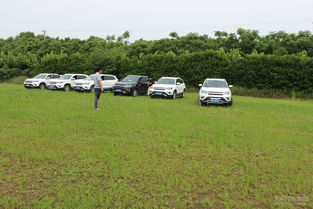 自驾游露营遇险