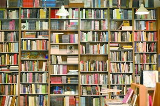 范曾授权店铺风波：盛世情的变迁之路