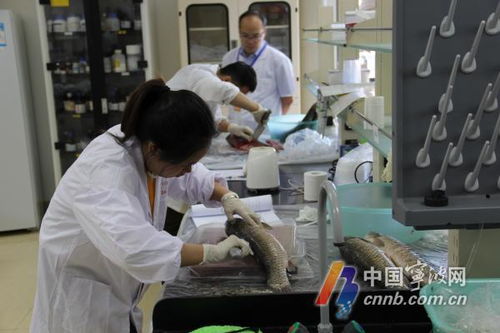 科研人员工作场景