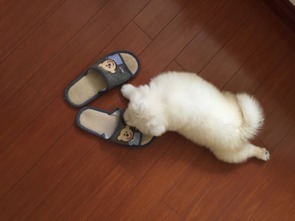 苏州站女厕标识引争议，客服承诺反馈