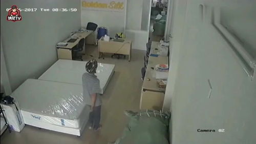 男子机场怪操作：马桶冲走223枚鸟蛋，海关全力拯救