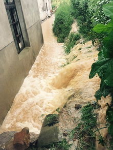 警惕！33条网络视频竟拼凑出宁夏特大洪灾谣言