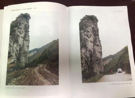 《生万物》为何能成爆款？背后故事引深思