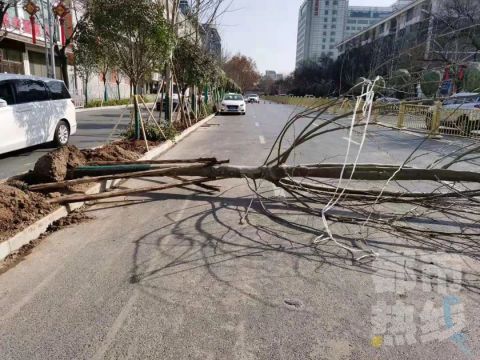 3女子贵州买房避暑竟遭横祸！树砸致1死2伤