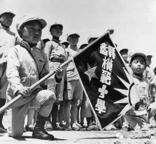 抗战歌声里的家国情怀：震撼人心的力量