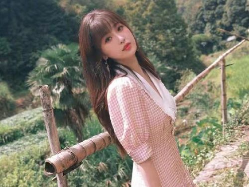 虞书欣方持续取证，真相究竟何时浮出水面？