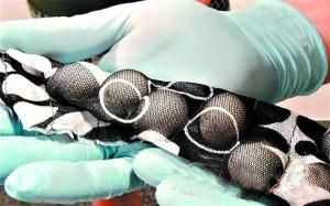 海关人员救助鸟蛋过程