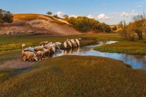塞罕坝的奇迹：荒原如何变成林海