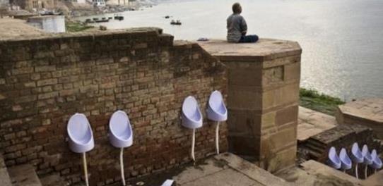 男子机场疯狂之举：马桶冲走233枚鸟蛋，海关紧急营救！