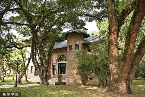 广东开放大学校园