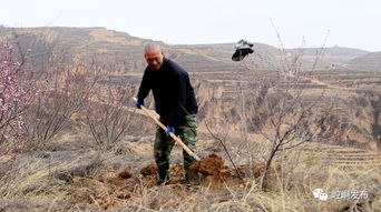塞罕坝人在植树