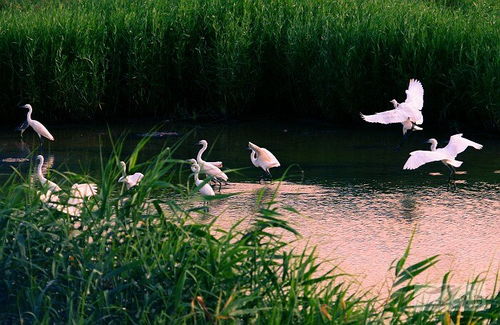 使绿水青山产生巨大效益，各地积极行动起来啦！