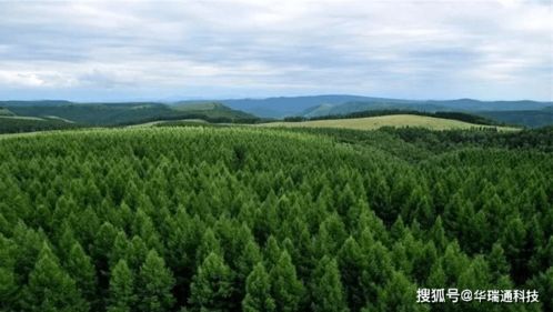 塞罕坝的森林防火设备