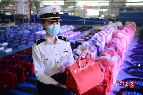 海关救回鸟蛋孵出鹦鹉，背后故事太震撼！