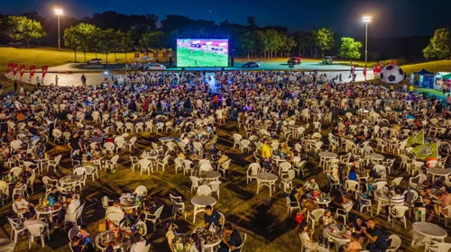 苏超神仙解说词为何能火遍全网？