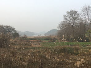 长沙大面积停水，市民生活受影响，相关部门积极应对