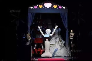 机器人运动会趣事：与冠军擦肩，躺地拒握手引爆笑