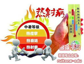 热射病器官受损示意图