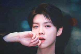 鹿晗陈赫同台唱《慢慢》，背后故事引深思