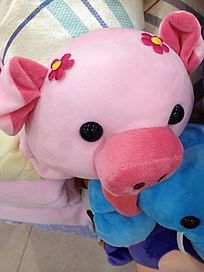 波弟出道健康免单，超多福利等你拿！